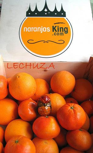 PASTEL DE NARANJA CON MERENGUE DE COCO BIZCOCHO DE NARANJA CON MERENGUE DE COCO (5)