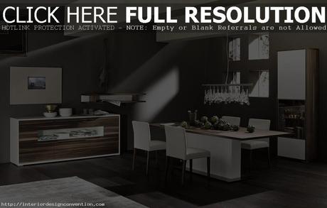 http://img.more-explore.com/medium/4/modern%20dining%20room%20ideas.jpg