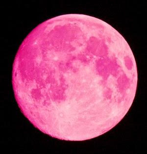 Luna de abril, Luna rosada