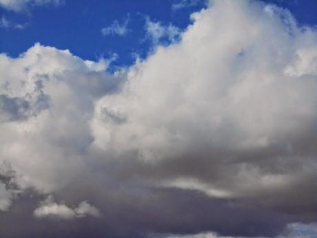 Falsa belleza Falsa belleza