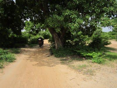 11 Agosto: Bamako - Segou 11 Agosto: Bamako - Segou