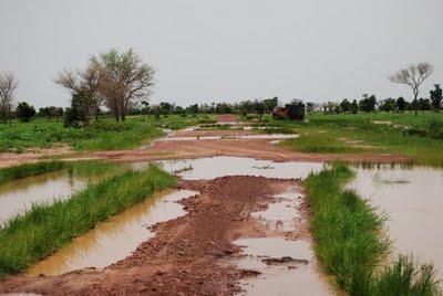 12 Agosto: Segou - Djenné 12 Agosto: Segou - Djenné