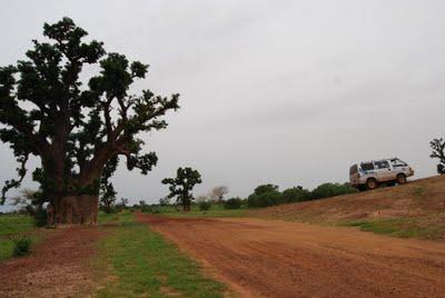 12 Agosto: Segou - Djenné 12 Agosto: Segou - Djenné