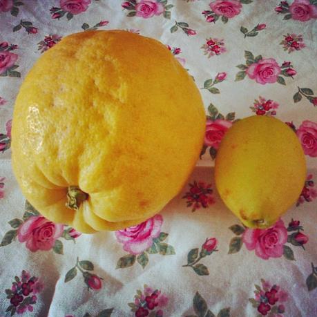 Los limones lunares de la Juana y mi primera tarta de limón (Lemon Pie)