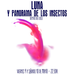 LUNA Y PANORAMA DE LOS INSECTOS DENTRO DEL LOCO – 09 Y 10 DE MAYO – CAFÉ MERCEDES (VALENCIA)
