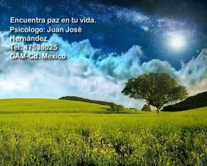 ¿La vida es felicidad? Psicologo DF GAM