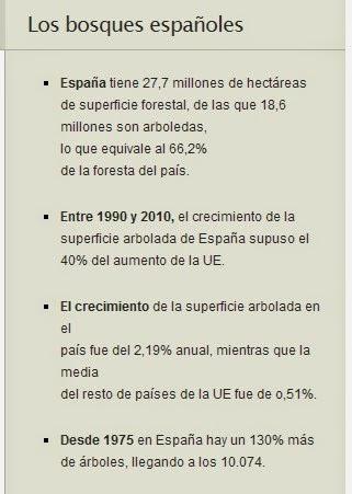 ¡¡¡TENEMOS QUE CUIDAR NUESTROS BOSQUES, FRENAN EL CAMBIO CLIMÁTICO!!!