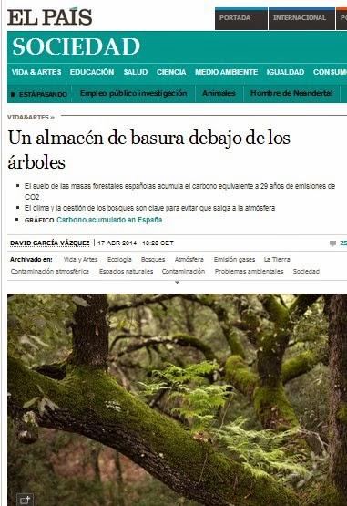 ¡¡¡TENEMOS QUE CUIDAR NUESTROS BOSQUES, FRENAN EL CAMBIO CLIMÁTICO!!!