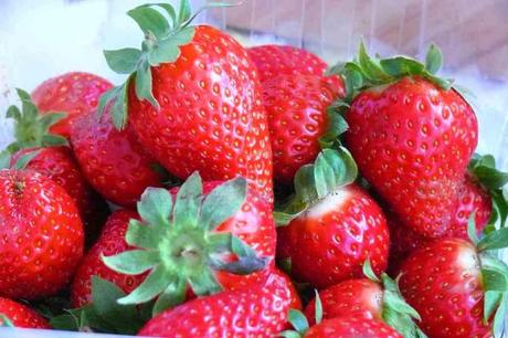 Como preparar fresas Las fresas se pueden comer con azucar, chocolate, nata, yogur, condensada, champange... mil maneras de comer esta fruta dulce y sabrosa