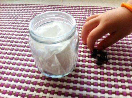 Enséñale a crear vida: Cómo hacer un Germinadero en 6 fáciles pasos germinadero2