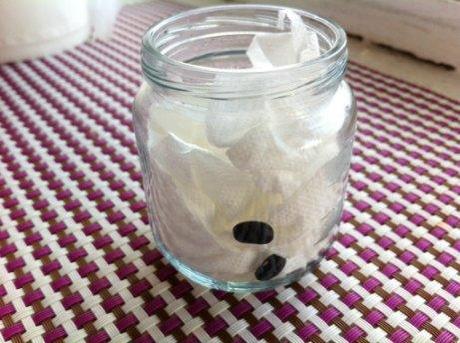 Enséñale a crear vida: Cómo hacer un Germinadero en 6 fáciles pasos germinadero4