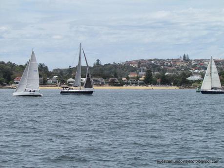 Manly beach; la playa oceánica de Sydney