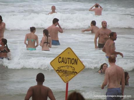 Manly beach; la playa oceánica de Sydney