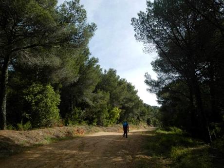 La Roca Centella (1.001 m). La Garriga