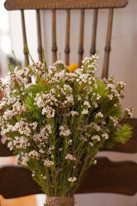 Una Boda de estilo country: Naomi & Caleb Wedding Una Boda de estilo country: Naomi & Caleb Wedding