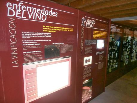 Museo Provincial del Vino de Peñafiel (Valladolid)