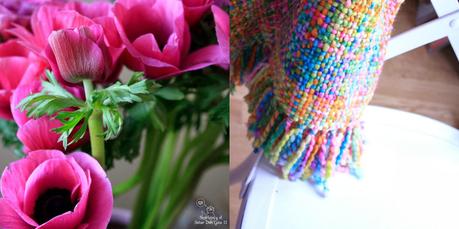 mi casa en color... mi casa en color...