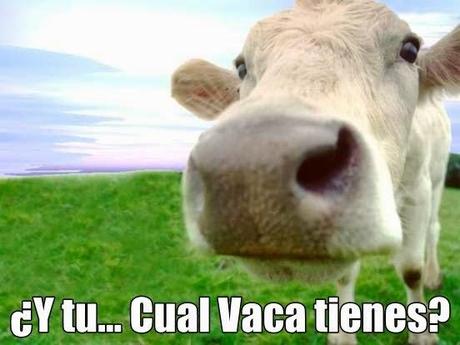 LA CULPA ES DE LA VACA !! ... Reflexión.