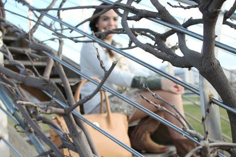 Favorite brands 12912846435_8f99859c60_z