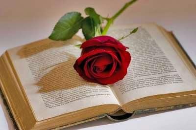 Feliz día del Libro / Feliç Sant Jordi Feliz día del Libro / Feliç Sant Jordi