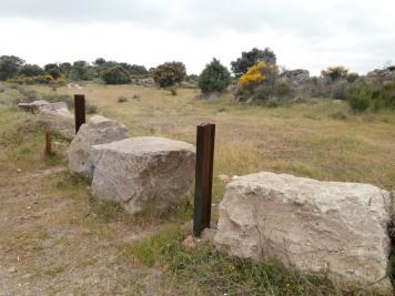 La Piedra Escrita de Cenicientos (Cenicientos, Madrid).