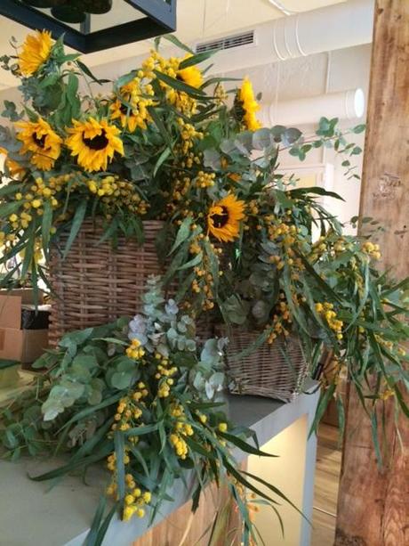 Conociendo a Masshiro, flores y mas la foto 13