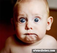 COMO AHORRAR A LA HORA DE COMPRAR CARNE DE TERNERA COMO AHORRAR A LA HORA DE COMPRAR CARNE DE TERNERA