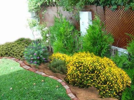 El cuidado de arbustos El cuidado de arbustos