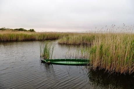 Quijote + Viendo llover en Galicia Quijote + Viendo llover en Galicia