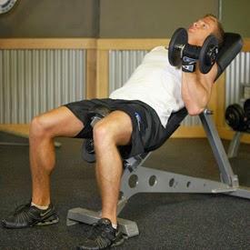 Ejercicio Para Biceps - Ejercicio Brazo Curl Alterno [Aumentar biceps]