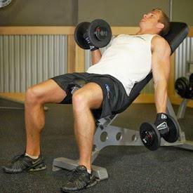 Ejercicio Para Biceps - Ejercicio Brazo Curl Alterno [Aumentar biceps]