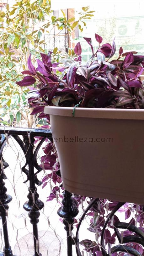 Comiendo en Rita & Champagne Comiendo en Rita & Champagne