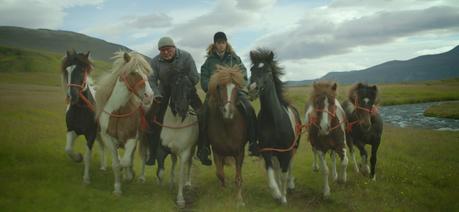 La mirada es el espejo del alma | 'De caballos y hombres' La mirada es el espejo del alma | 'De caballos y hombres'