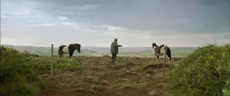 La mirada es el espejo del alma | 'De caballos y hombres' La mirada es el espejo del alma | 'De caballos y hombres'