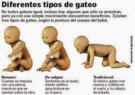 ¿¿A esto se le llama gatear?? (tipos de gateo) ¿¿A esto se le llama gatear?? (tipos de gateo)