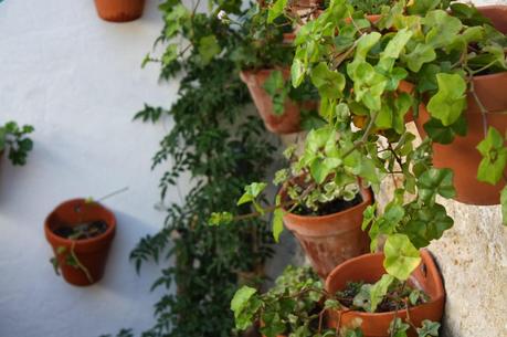 DIY: CLUTCH TRANSPARENTE DIY: CLUTCH TRANSPARENTE