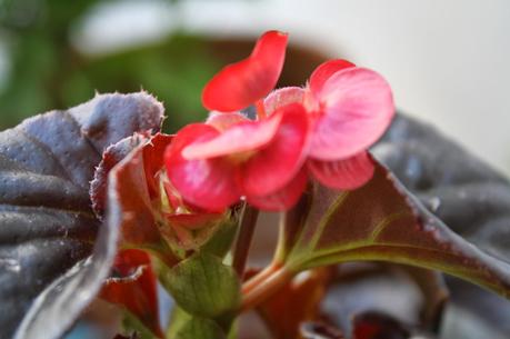 DIY: CLUTCH TRANSPARENTE DIY: CLUTCH TRANSPARENTE