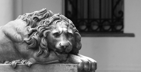 Soy un fracaso que no sirve para nada leon disgustado