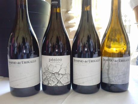 VINOS DE ESPAÑA, UNA PASIÓN... un gran evento. VINOS DE ESPAÑA, UNA PASIÓN... un gran evento.