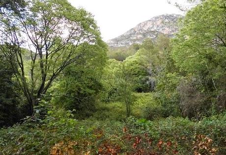 Recorriendo La Murta, senderismo en el corazón de una sierra