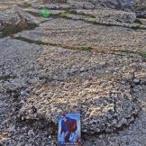 Antequera - El Torcal ‘El viaje de Pau’ en El Torcal de Antequera
