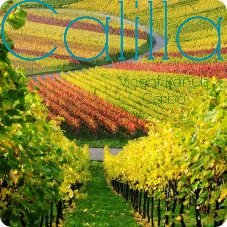 Calilla. Capítulo 13: Once in a Lifetime means there’s no second chance wpid-tierra-de-vinos1.png