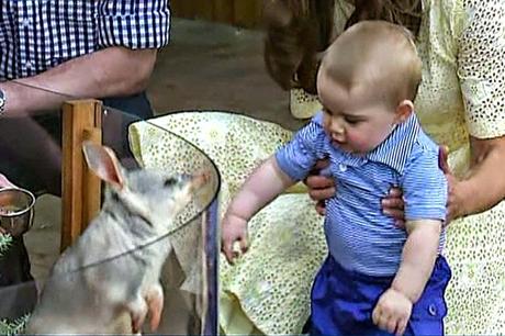 Adoctrinar en el especismo Adoctrinar en el especismo