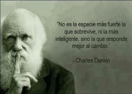 365 DÍAS, 365 POSIBILIDADES 365 DÍAS, 365 POSIBILIDADES