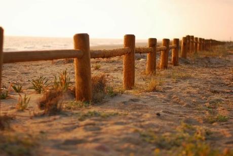 ¡Nuevo look! En Cabo de Gata ¡Nuevo look! En Cabo de Gata