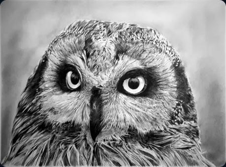 franco clun5 franco clun5