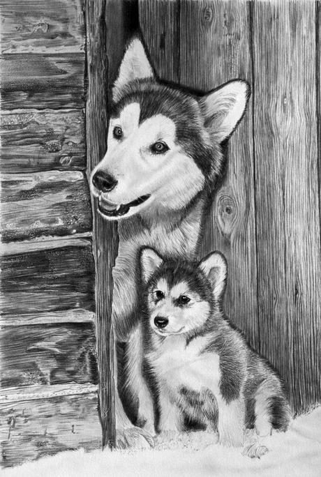 Hyper Realistic Pencil Drawings by Italian Artist Franco Clun. Hyper Realistic Pencil Drawings by Italian Artist Franco Clun.