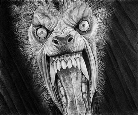 Hyper Realistic Pencil Drawings by Italian Artist Franco Clun. Hyper Realistic Pencil Drawings by Italian Artist Franco Clun.