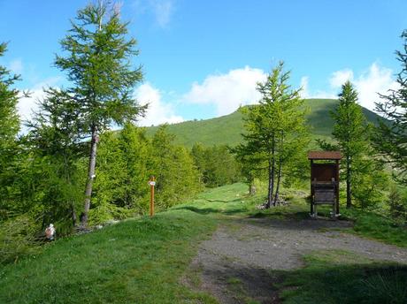 Senderismo en Liguria: excursión a los Montes Toraggio y Pietravecchia. Senderismo en Liguria: excursión a los Montes Toraggio y Pietravecchia.