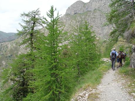 Senderismo en Liguria: excursión a los Montes Toraggio y Pietravecchia. Senderismo en Liguria: excursión a los Montes Toraggio y Pietravecchia.